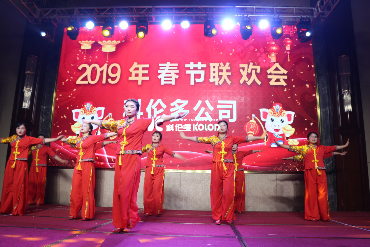 凯歌高奏辞旧岁，豪情满怀迎新年 （科伦多隆重举行2019春节联欢晚会）