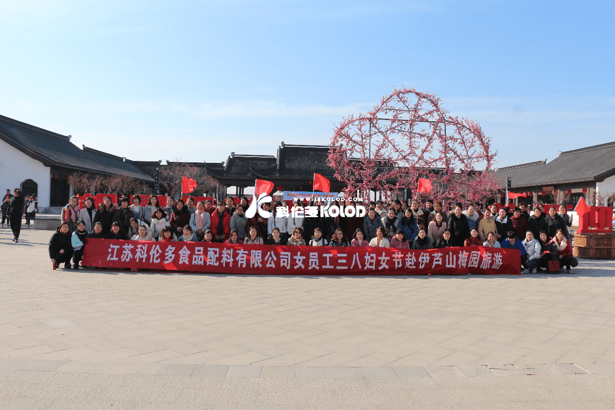 烟花三月梅花开，“三八”佳节笑开怀 （江苏科伦多“三八节”组织女工赴伊芦山梅园旅游纪实）