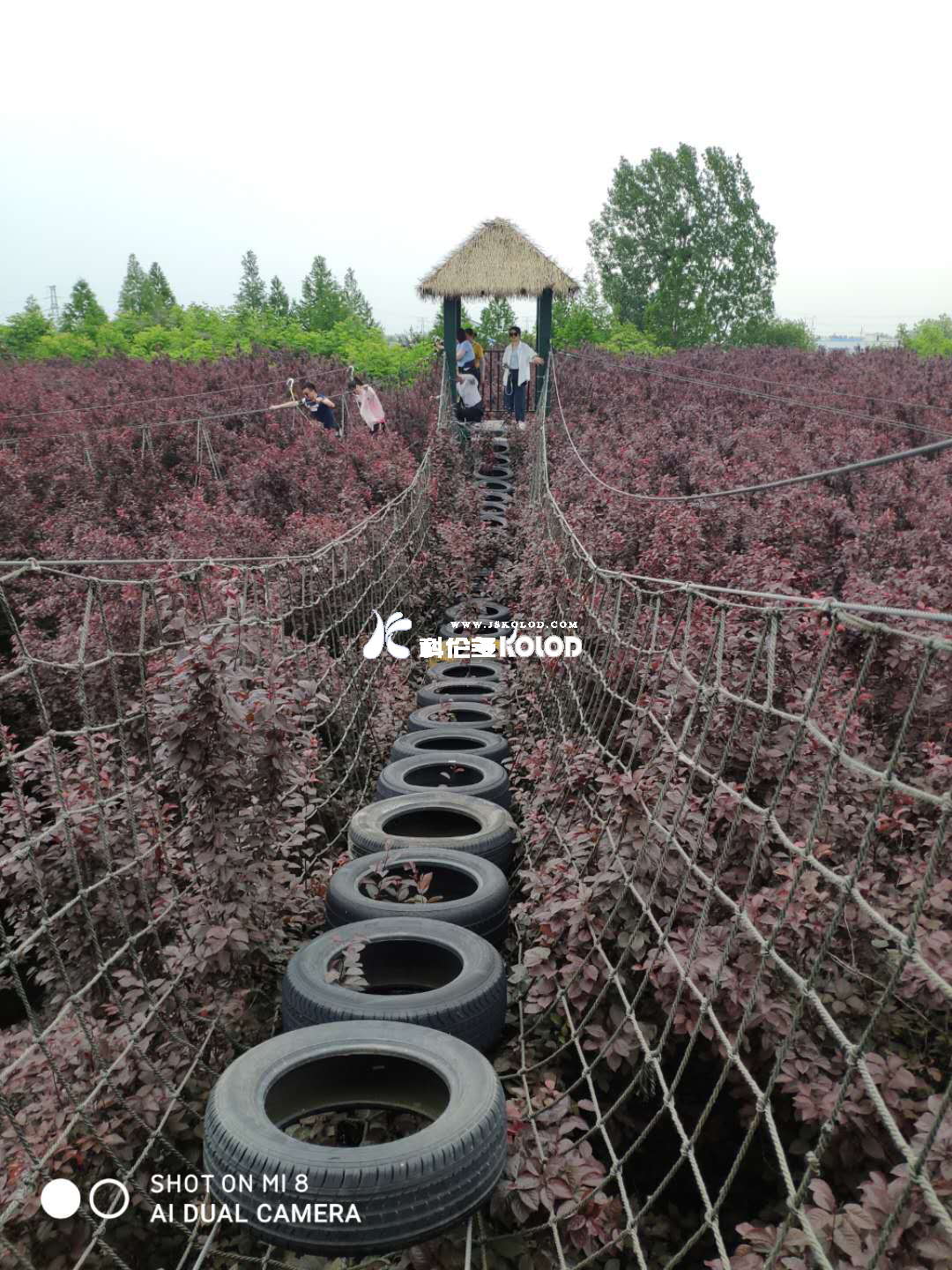 追求卓越团队、铸造优秀团队、共创企业辉煌 （江苏科伦多赴兆隆林海湾丛林乐园开展团建活动）