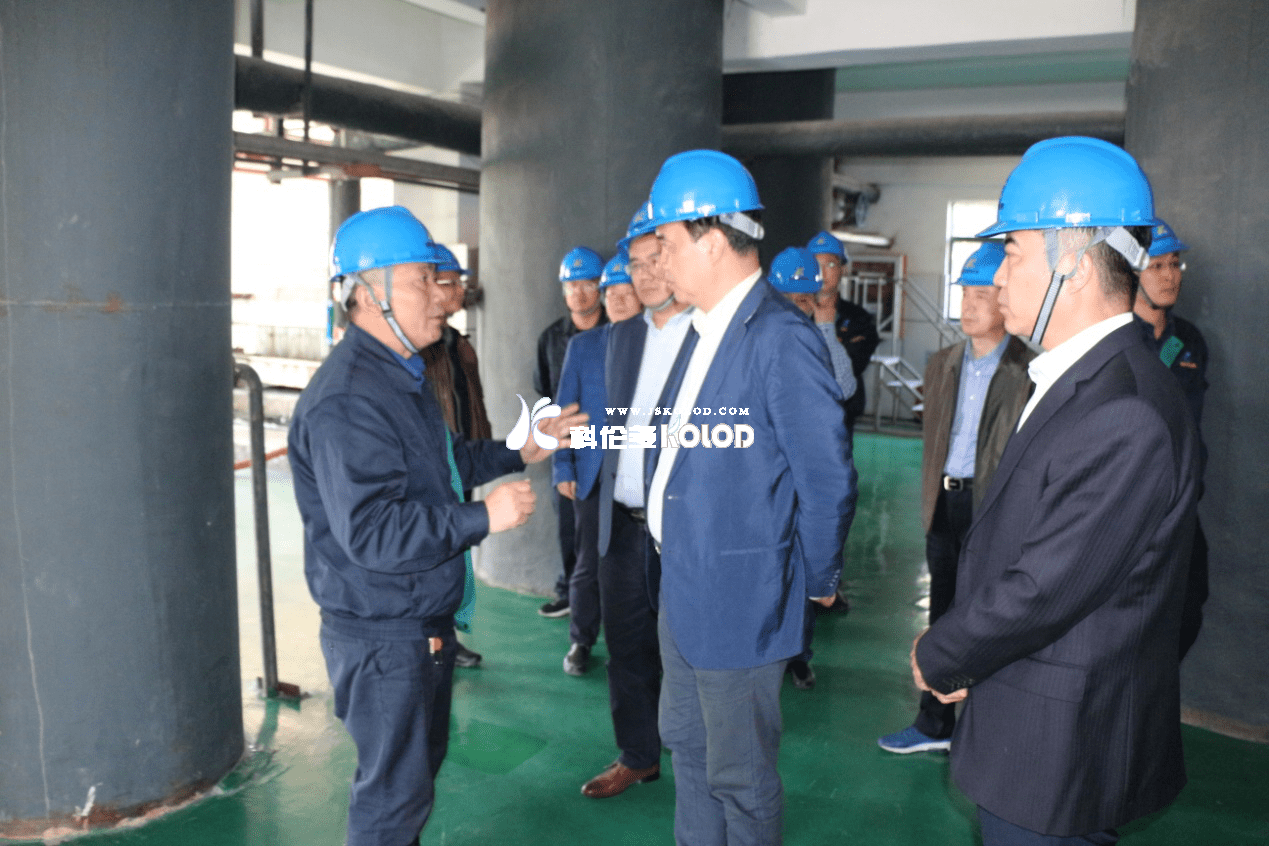 江苏省应急管理厅副厅长沈仲一莅临江苏科伦多调研指导安全生产工作